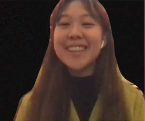 a screenshot of pictoria vark on a zoom
