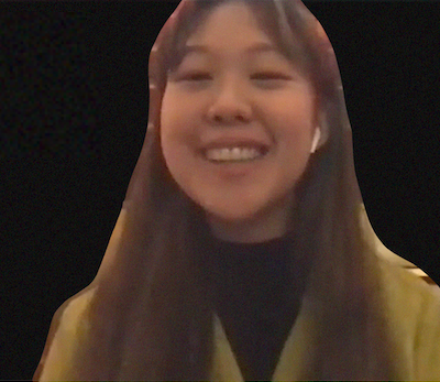 a screenshot of pictoria vark on a zoom