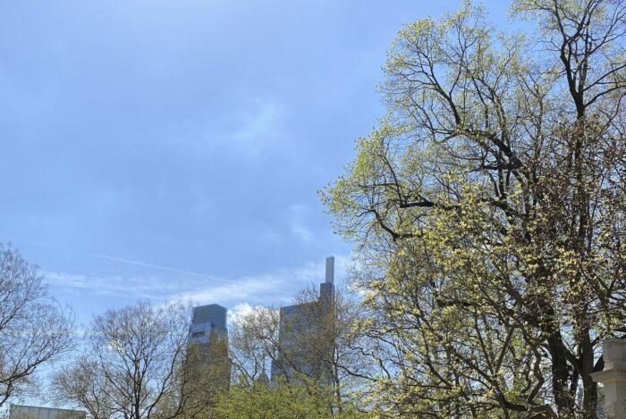 Philly skyline from the parkway