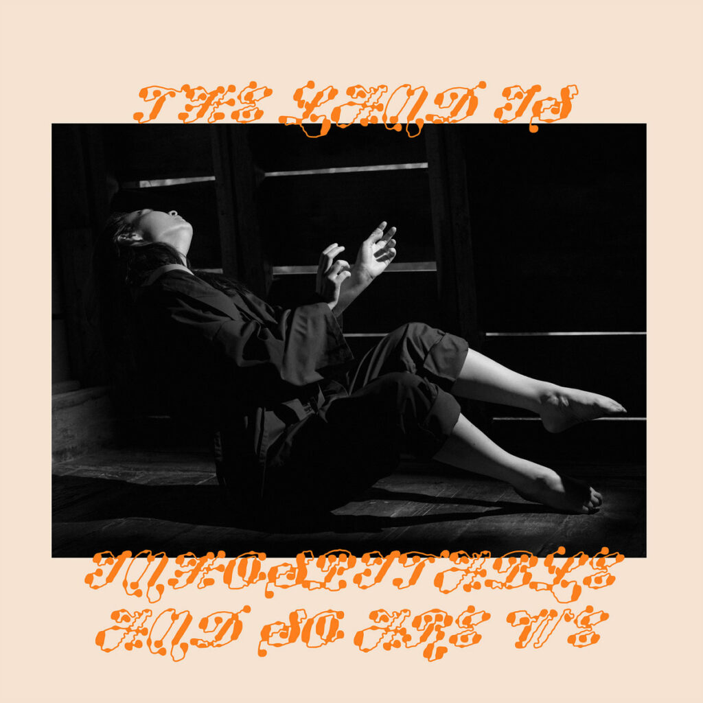 mitski the land is inhospitable and so are we