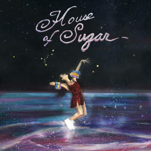 Album cover for Alex G's House of Sugar, painted by Rachel Giannascoli